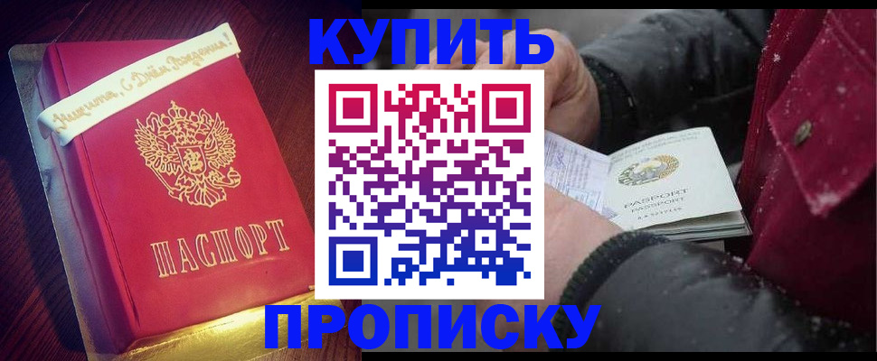 прописка гарантия в Высоковске